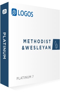 Methodist & Wesleyan Platinum