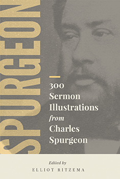 300 Sermon Illustrations from Charles Spurgeon book cover