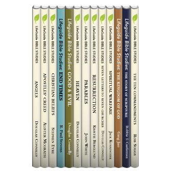 LifeGuide Bible Studies: Doctrine, Theology, and Difficult Topics (13 vols.)