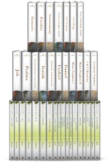 Understanding the Bible Commentary Series (36 vols.)