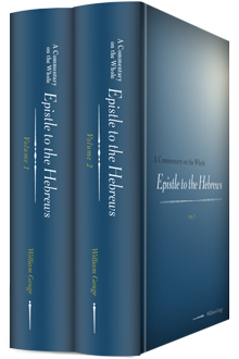 A Commentary on the Whole Epistle to the Hebrews (2 vols.)