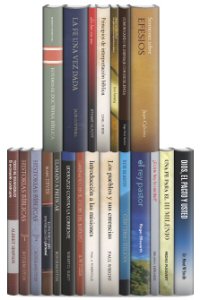 Colección Herramientas para el líder (21 vols.)